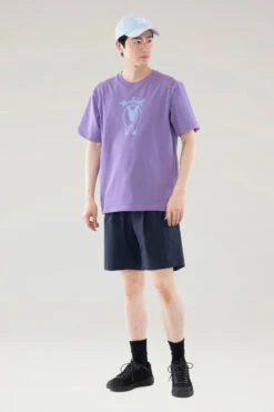 Woolrich T-shirt Sheep In Puro Cotone - Uomo - Lilla -Offerta Economica Vestiario CFWJTE0070MRUT3487 P 2