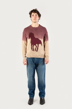Maglia Girocollo In Misto Cotone Con Effetto Ombré - One Of These Days / Woolrich - Uomo - Bianco
